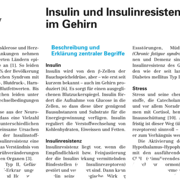 Insulin und Insulinresistenz im Gehirn Insulin und Insulinresistenz im Gehirn