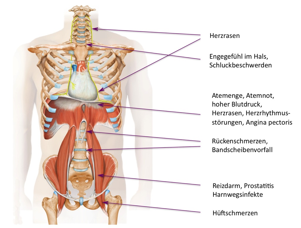 reizdarm psychosomatisch
