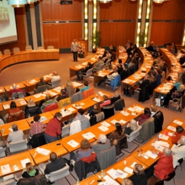 Myoreflex conference in Landratsamt Konstanz, November 2011
