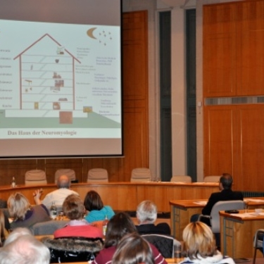 Myoreflex conference in Landratsamt Konstanz, November 2011